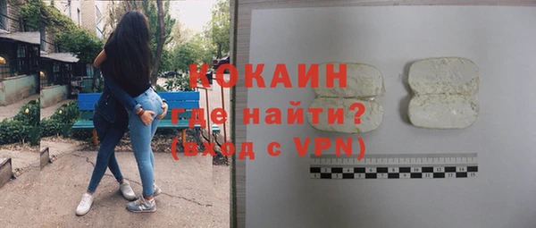 мдпв Рославль