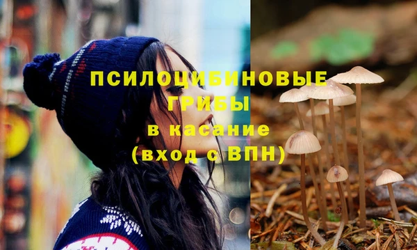 хмурый Баксан