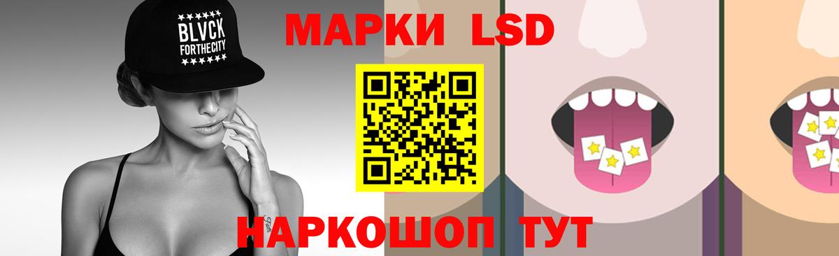 Альфа ПВП Балтийск