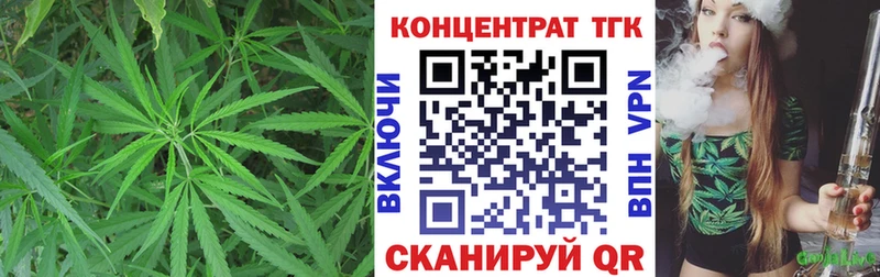 ТГК Wax  Балтийск 