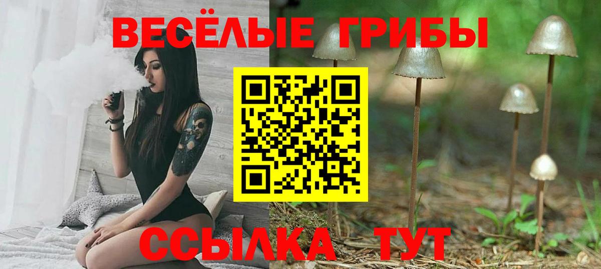 Балтийск  Псилоцибиновые грибы GOLDEN TEACHER  Вход с VPN 